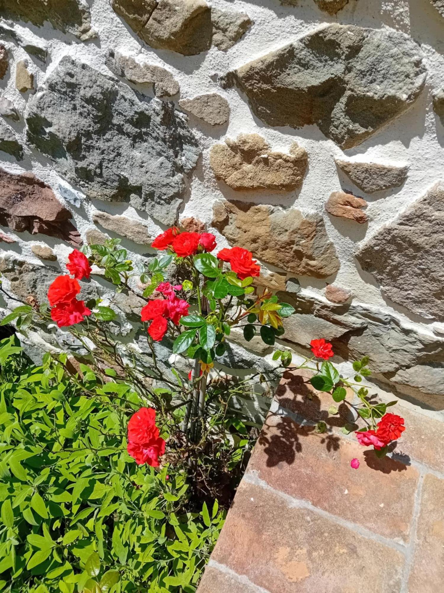 Casa Vacanze Raggio Di Sole Grotte  Zewnętrze zdjęcie